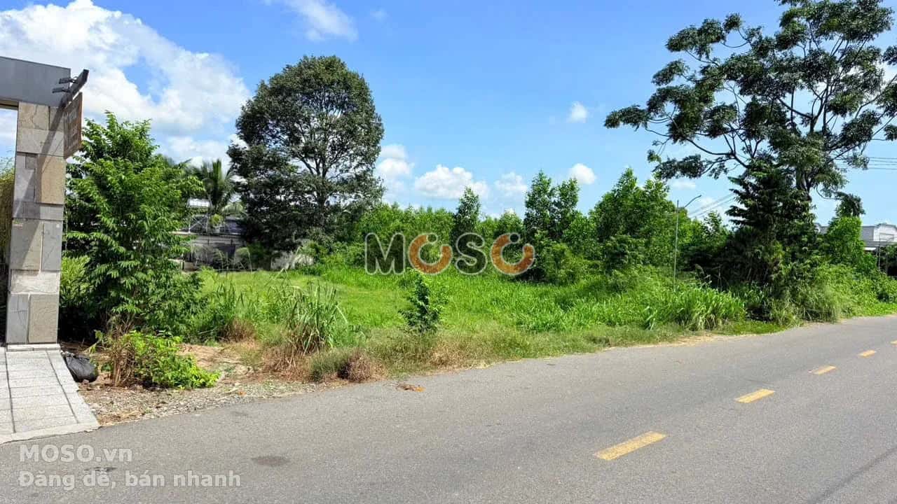 Bán đất Phước Hội - Lộc An  Huyện Long Đất, BRVT – giá 2 tỷ - ảnh 2