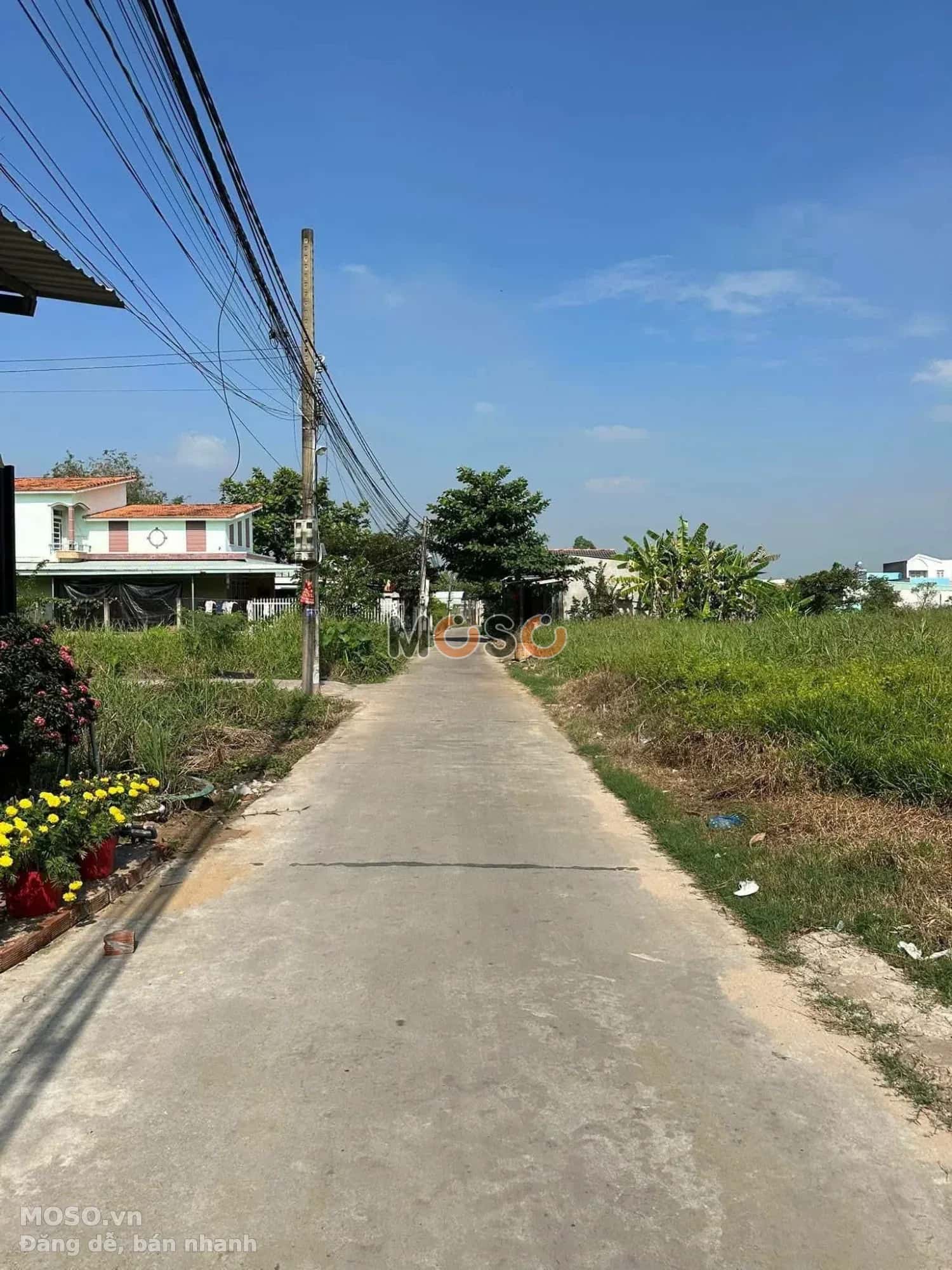 Bán đất Hẻm 79 Châu Thị Kim Thành phố Tân An, Long An – giá 800 triệu - ảnh 4