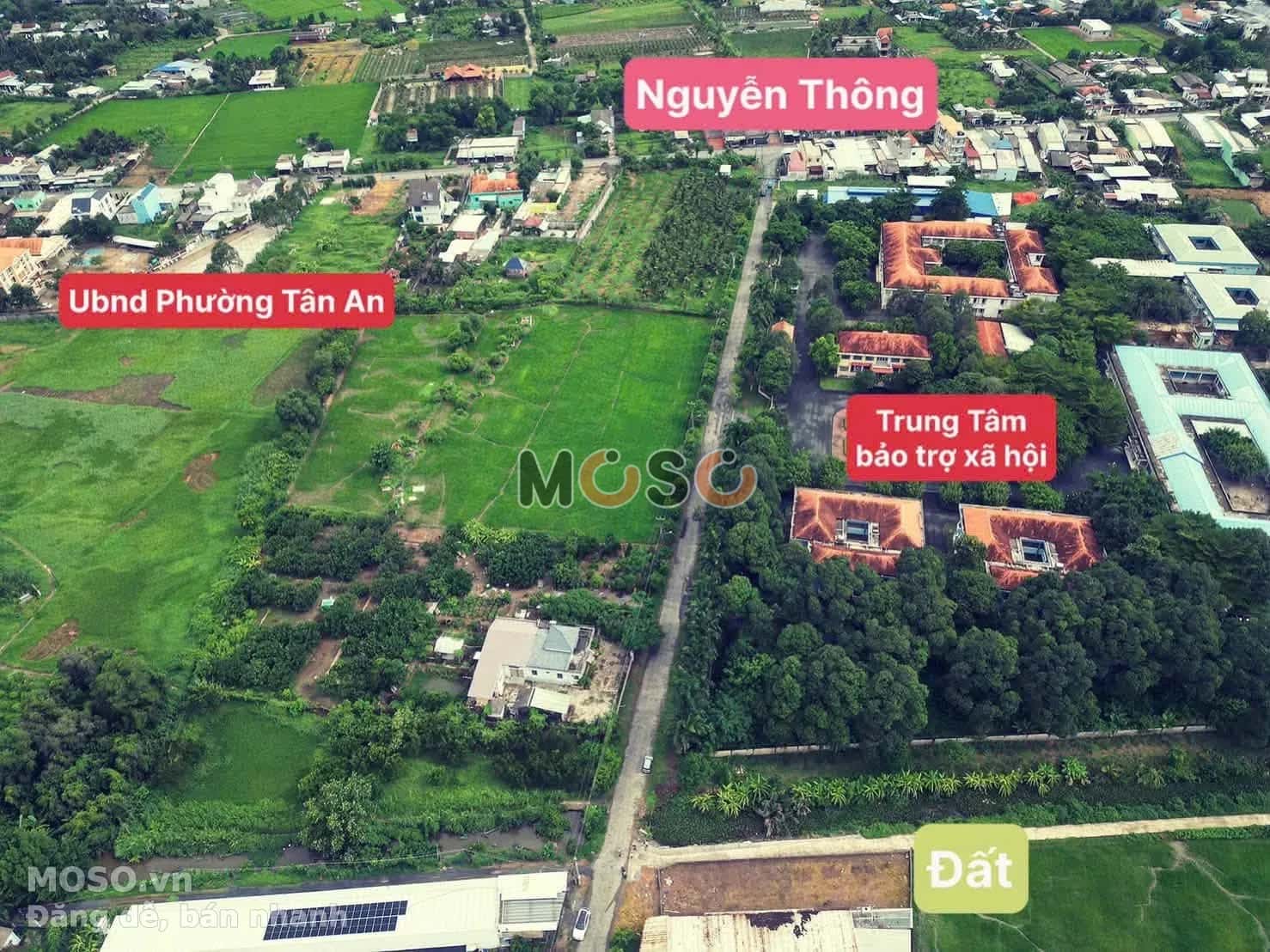 Bán đất Đỗ Tường Tự Thành phố Tân An, Long An – giá 3.3 tỷ - ảnh 5