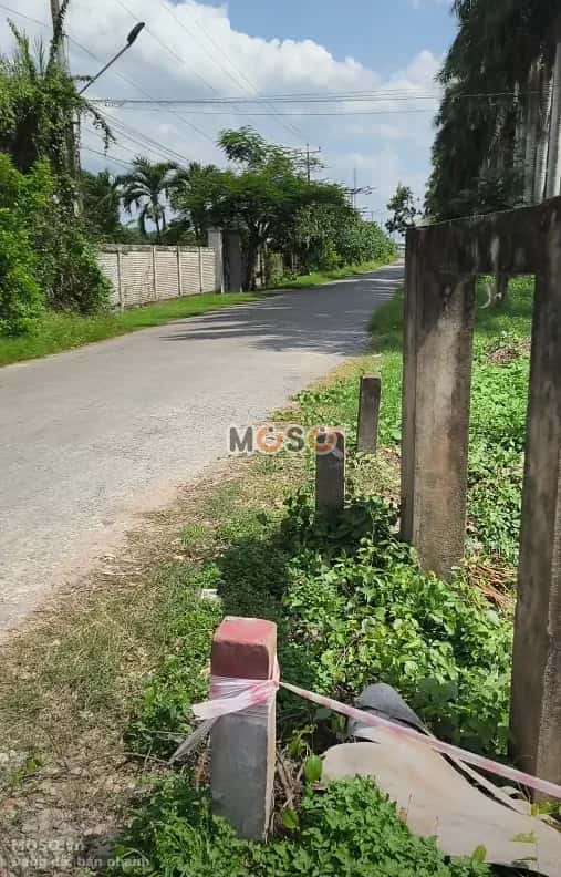 Bán đất Đỗ Tường Tự Thành phố Tân An, Long An – giá 3.3 tỷ - ảnh 3