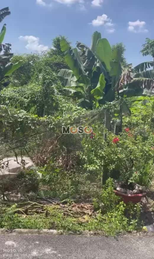 Bán đất Phú An 044 Thành phố Bến Cát, Bình Dương – giá 1 tỷ - ảnh 1