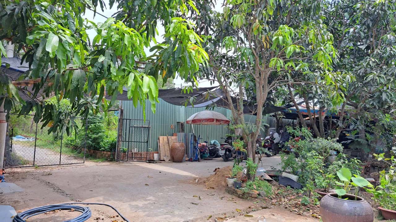 Cho thuê nhà mặt tiền Đường T11 Huyện Bình Chánh, TP.HCM – giá 8 triệu — Hình 2 Cho thuê nhà mặt tiền Đường T11 Huyện Bình Chánh, TP.HCM – giá 8 triệu — Hình 2
