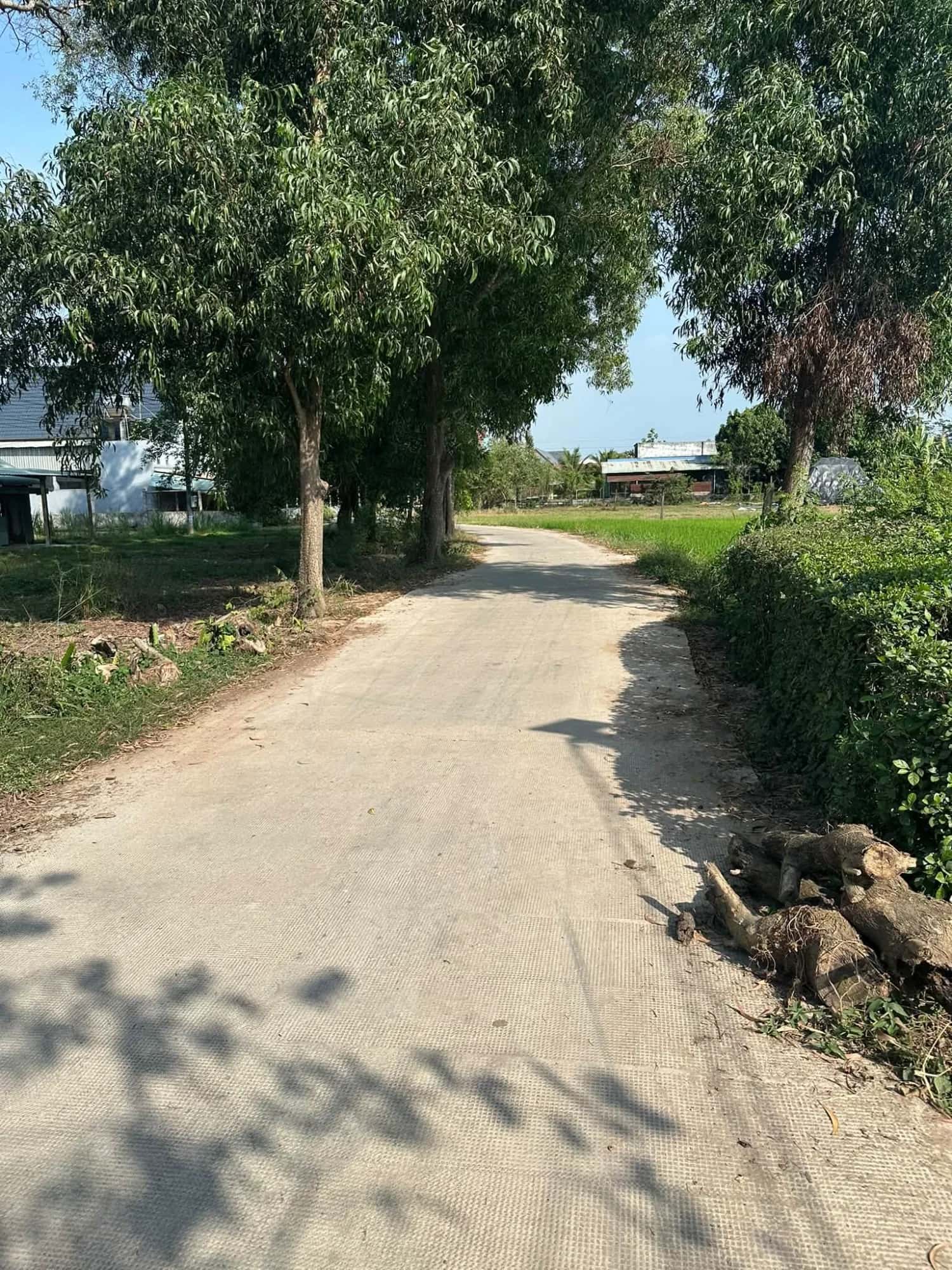 Bán đất Ấp Bàu Sen  Huyện Đức Hòa, Long An – giá 2 tỷ - ảnh 5