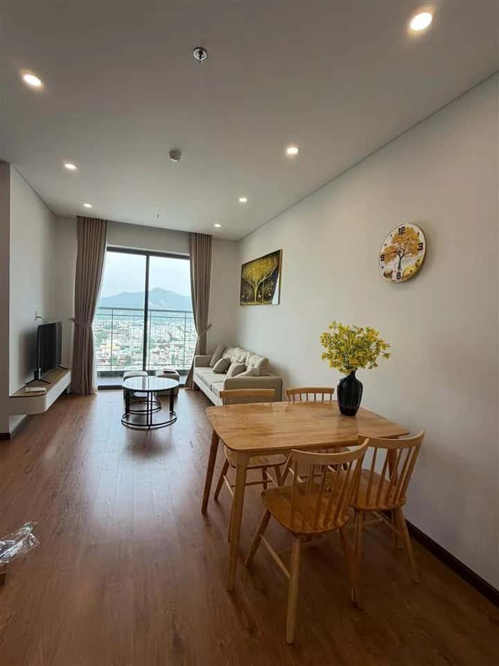 Cho thuê căn hộ chung cư Đường Ngô Thì Nhậm Liên Chiểu, Đà Nẵng – 2 phòng ngủ, giá 12 triệu - ảnh 3