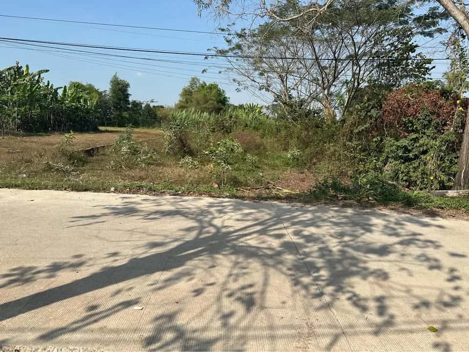 Bán đất Ấp Bàu Sen  Huyện Đức Hòa, Long An – giá 2 tỷ - ảnh 2