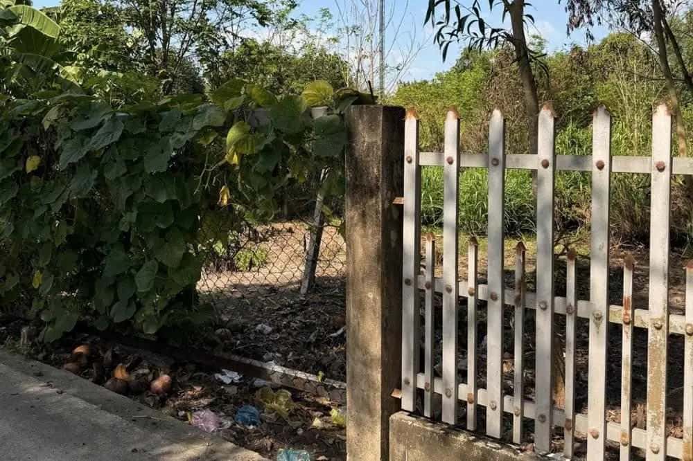 Bán đất Thành phố Thủ Dầu Một, Bình Dương – giá 3 tỷ - ảnh 6