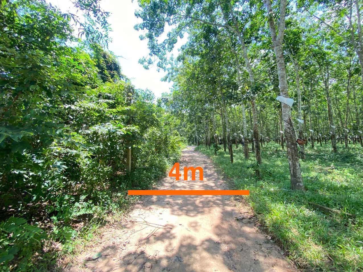Bán đất Huyện Dầu Tiếng, Bình Dương – giá 1.1 tỷ - ảnh 4