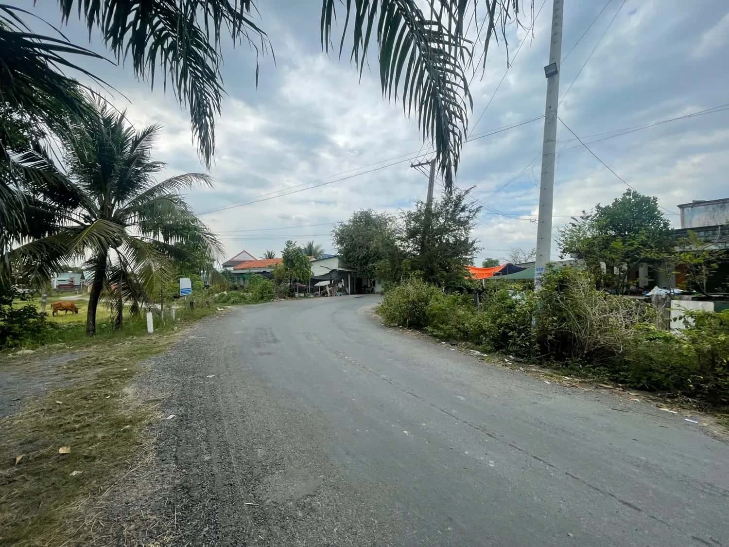 Bán đất Huyện Đức Hòa, Long An – giá 306.1 triệu - ảnh 5