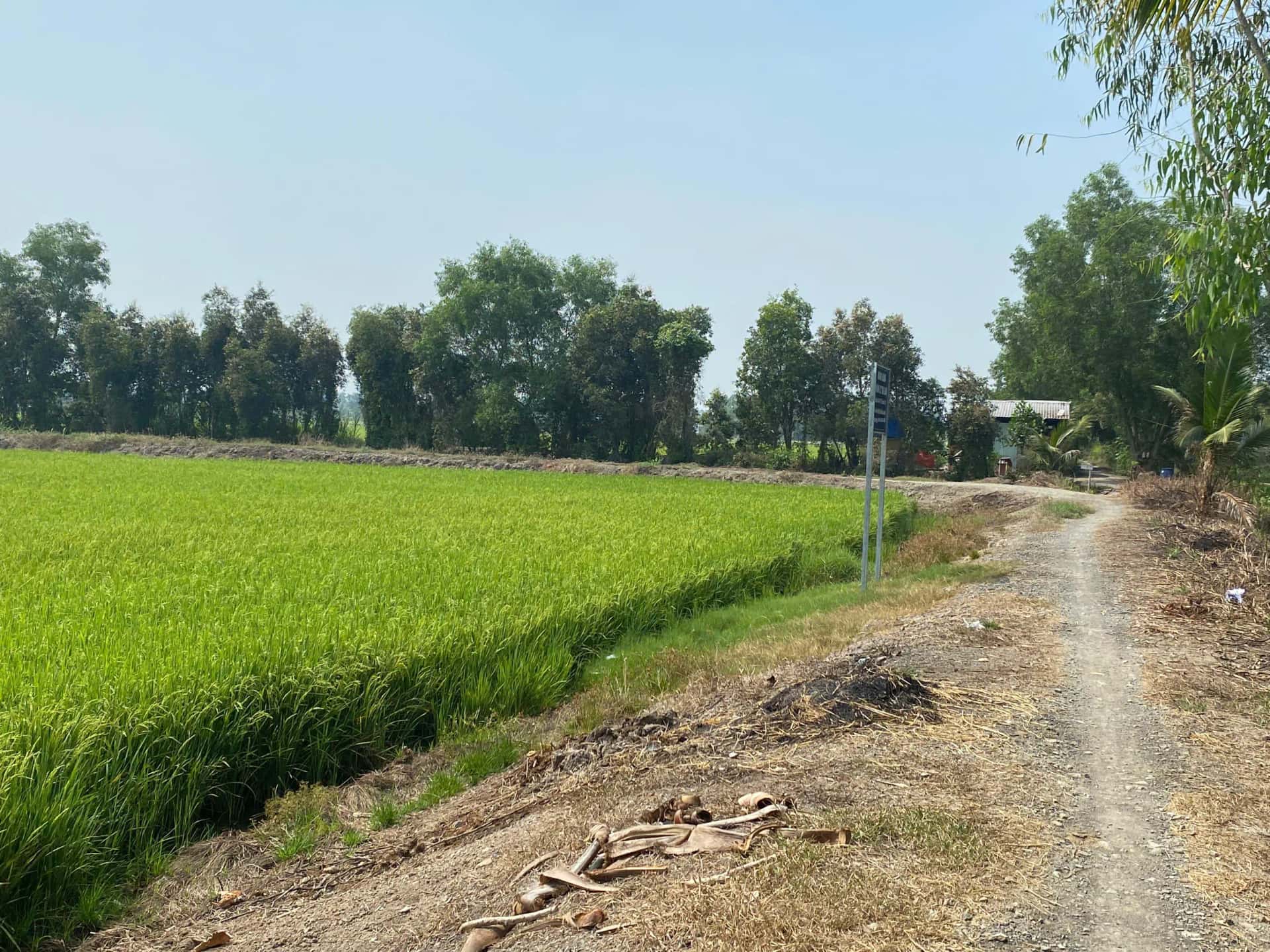 Bán đất Huyện Đức Hòa, Long An – giá 620 triệu - ảnh 4