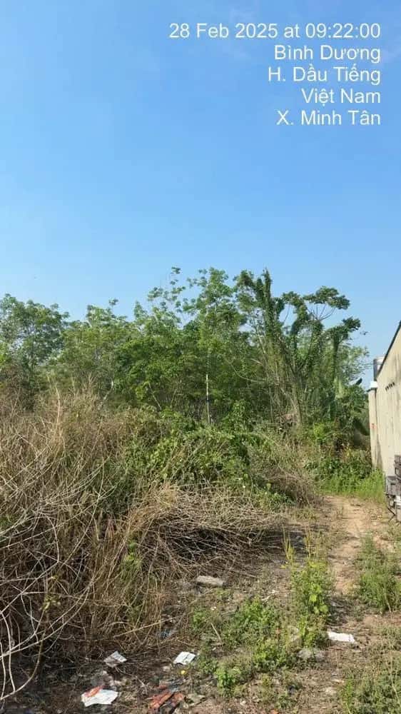 Bán đất Huyện Dầu Tiếng, Bình Dương – giá 1.3 tỷ - ảnh 4