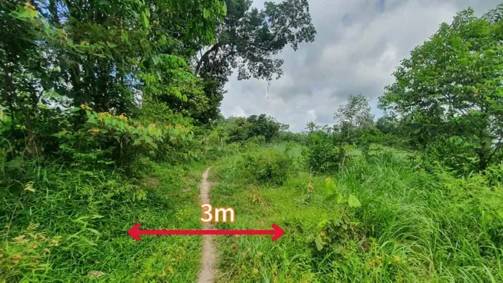 Bán đất Huyện Dầu Tiếng, Bình Dương – giá 1.6 tỷ - ảnh 5