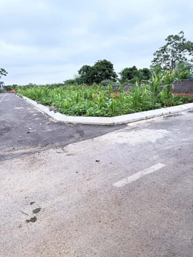 Plot of land 100 m² · thôn 2