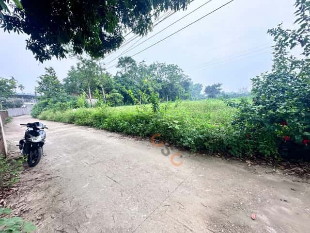 Plot of land 936 m² · hẻm đường ĐT 429, Thôn Tân Hội 