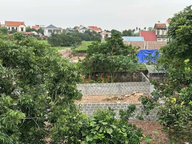 Plot of land 80.9 m² · đường 427