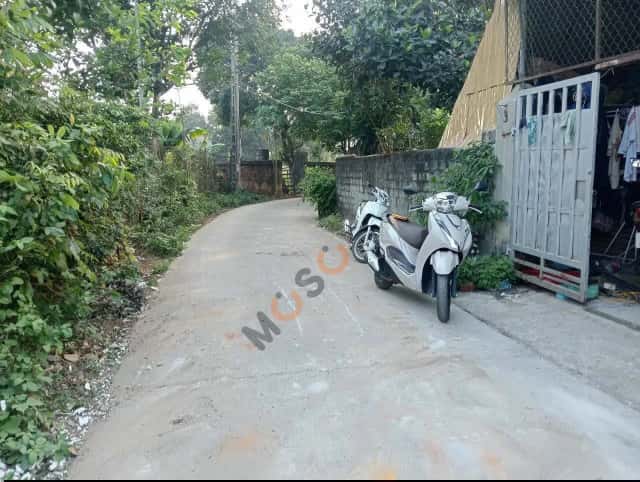 Đất 95,5 m² · ĐT 416, Thôn Nhà Thờ 