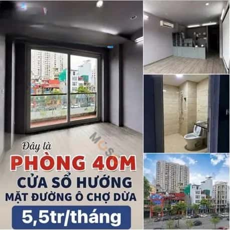 Room 40 m² · Phố Đông Các