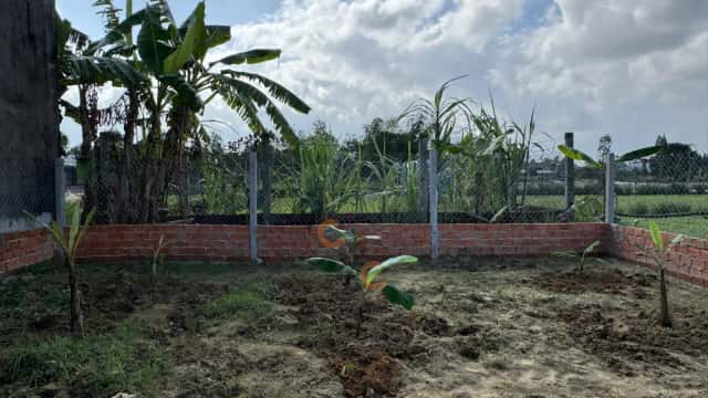 Plot of land 149.6 m² · Thôn Phong Lục Tây
