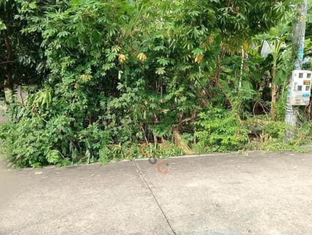 Đất 217,7 m² · Phú An 39