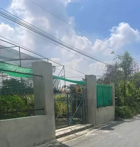 Đất 336,9 m² · đường ĐX 14