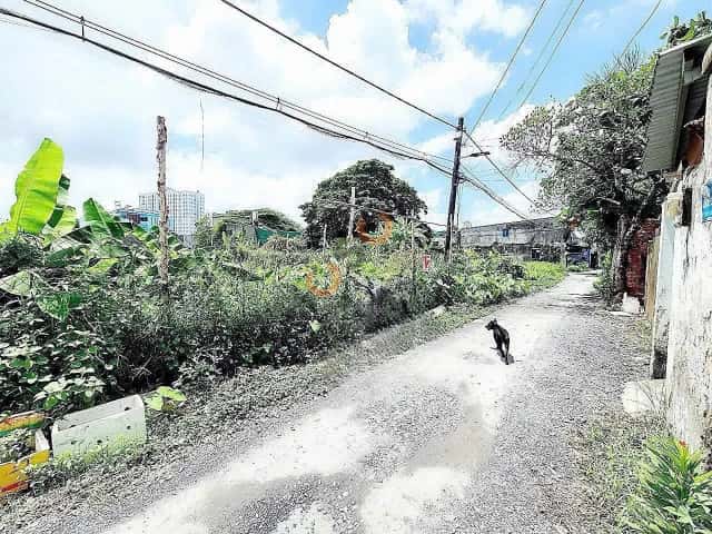 Plot of land 73.3 m² · Vườn Lài