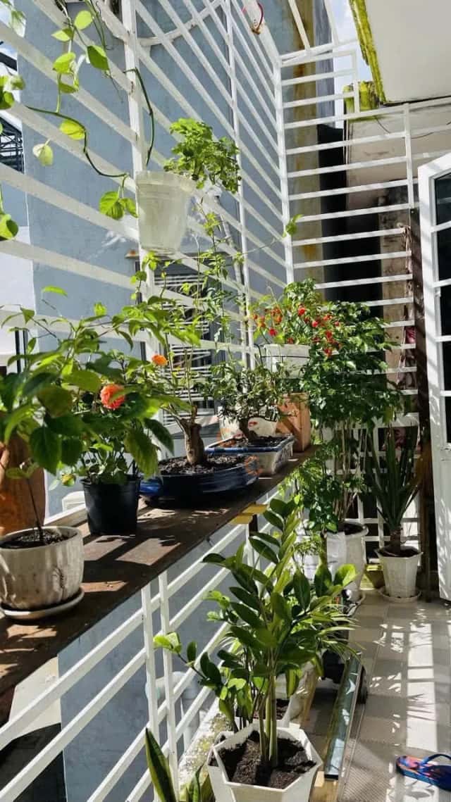 Townhouse 27.6 m² · 1 bed · Phạm Văn Nghị