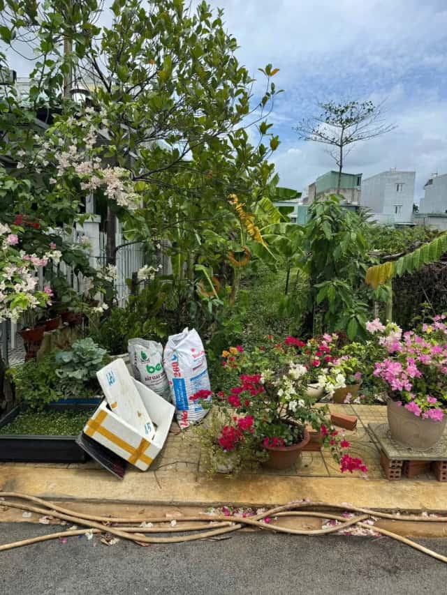 Plot of land 106.5 m² · Thạnh Xuân 25