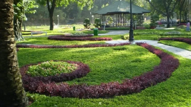 Long Vân 3
