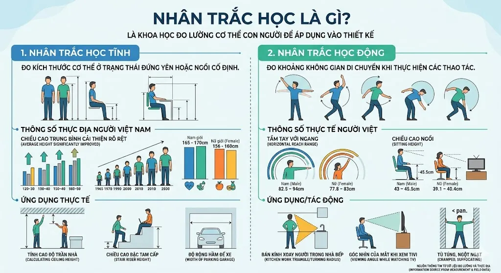 Định nghĩa về Nhân trắc học