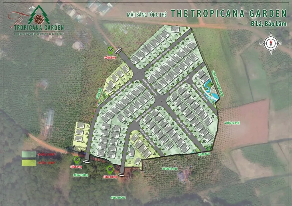 The Tropicana Garden