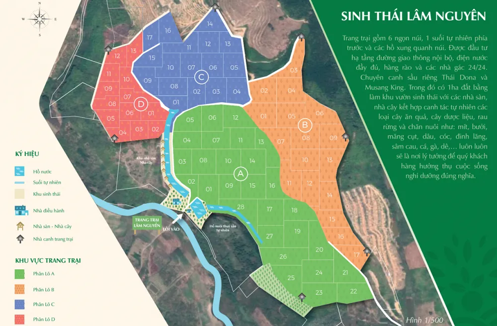 Tân Lâm Nguyên