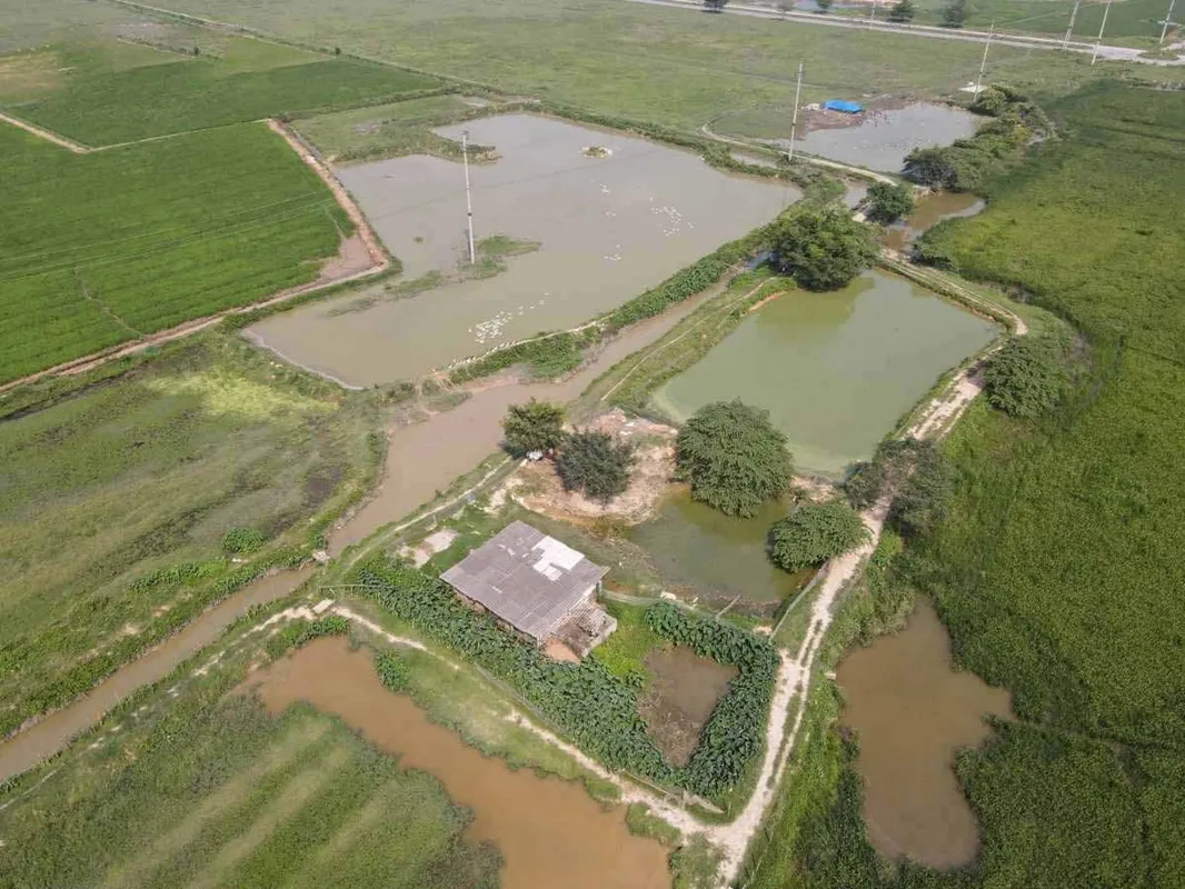 Khu công nghiệp An Việt - Quế Võ 6