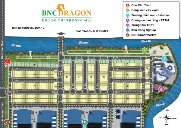 BNC Dragon