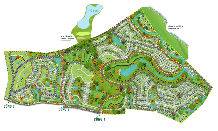 Legacy Hill