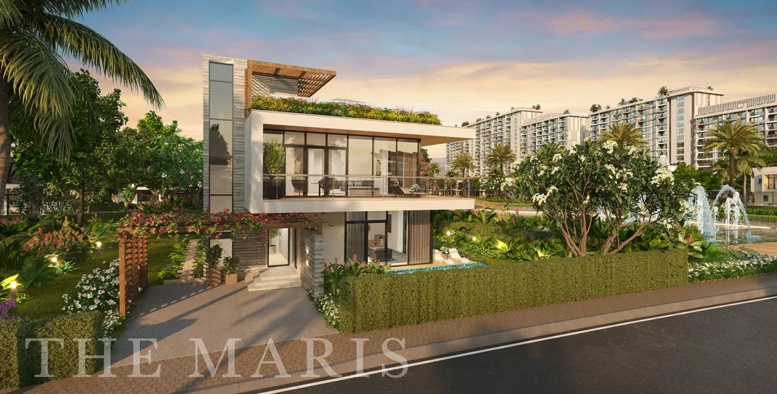 The Maris