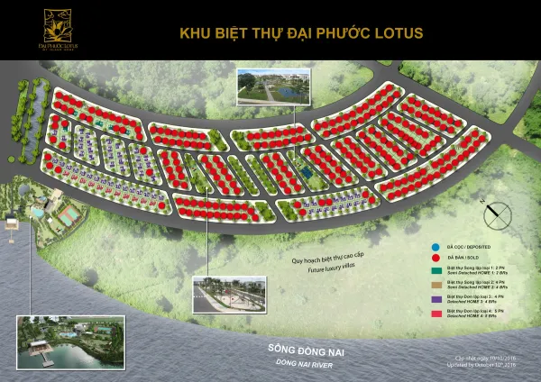 Đại Phước Lotus