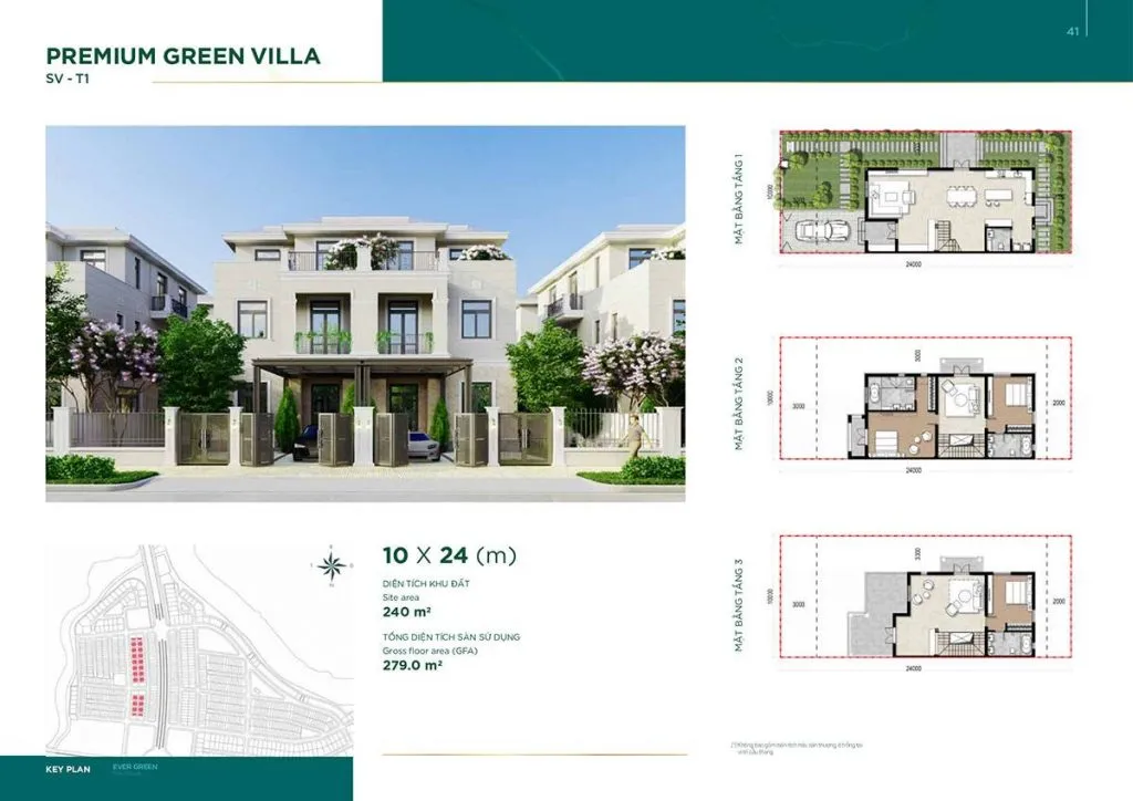 The Stella Ever Green 2