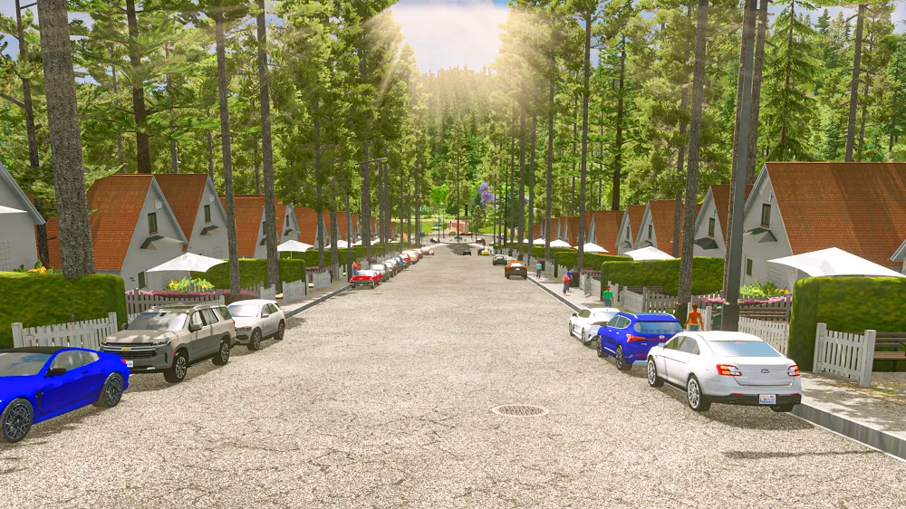 The Pine Hills
