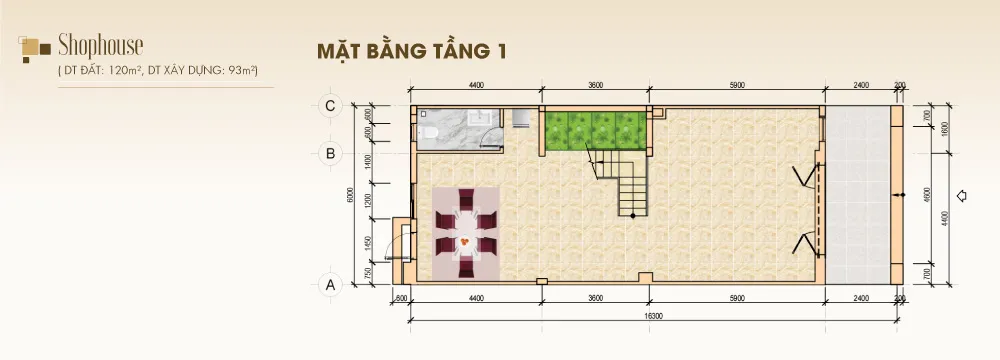 STC Long Thành