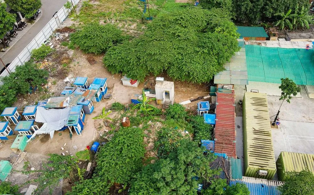 Hacinco Nguyễn Xiển