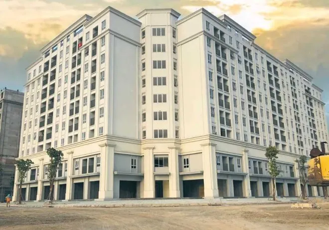 GreenLife Apartment