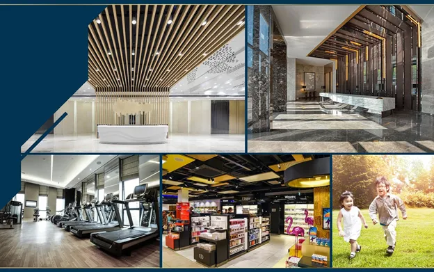 MD Rent House Tân Mỹ