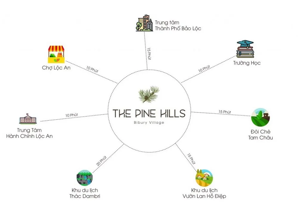 The Pine Hills
