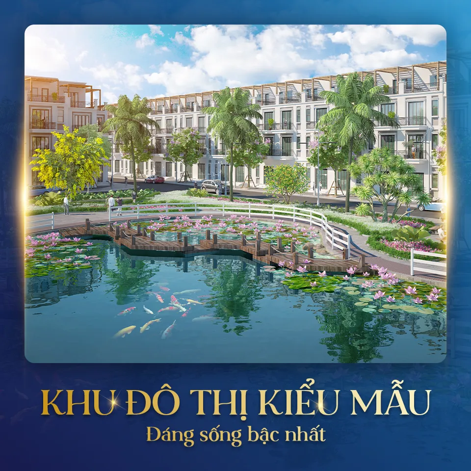 TNR Stars Đông Hải