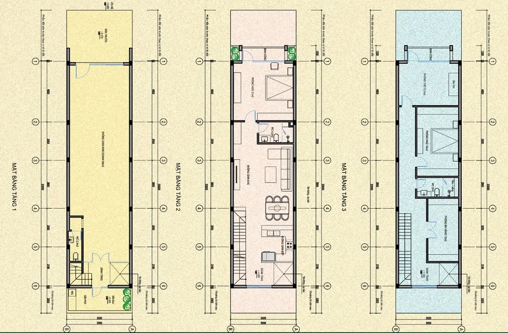 Plevia City