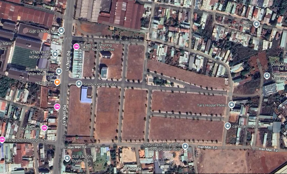 Plevia City