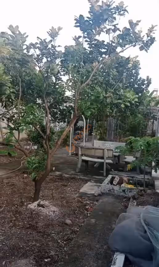 Bán đất Thửa 541 - Tờ: 53, Đường Bùi Công Trừng Huyện Hóc Môn, TP.HCM – giá 4.5 tỷ