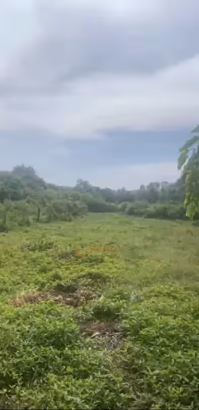 Bán đất Thửa 51 - Tờ 41, Đường Trần Thị Rộng Huyện Củ Chi, TP.HCM – giá 9.5 tỷ Bán đất Thửa 51 - Tờ 41, Đường Trần Thị Rộng Huyện Củ Chi, TP.HCM – giá 9.5 tỷ