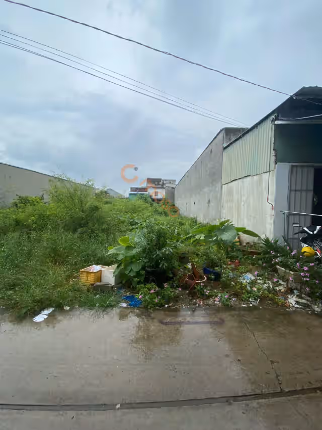 Bán đất Đường Bờ Xe Lam Huyện Bình Chánh, TP.HCM – giá 8.5 tỷ Bán đất Đường Bờ Xe Lam Huyện Bình Chánh, TP.HCM – giá 8.5 tỷ