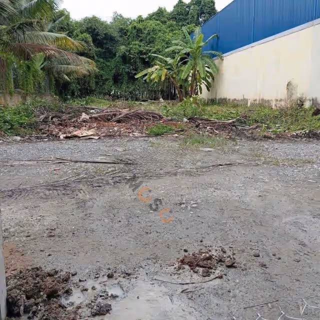 Bán đất Thửa 2062 - tờ 5 Đường Bình Nhâm 23, khu phố Bình Hòa Thành phố Thuận An, Bình Dương – giá 9.7 tỷ Bán đất Thửa 2062 - tờ 5 Đường Bình Nhâm 23, khu phố Bình Hòa Thành phố Thuận An, Bình Dương – giá 9.7 tỷ