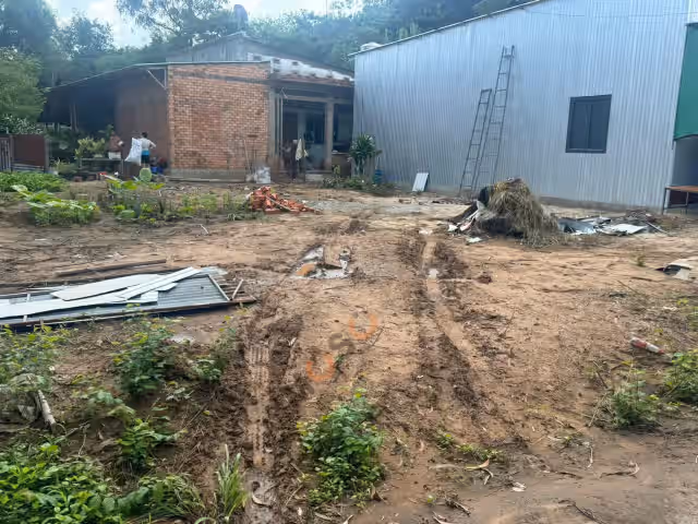 Bán đất Đường Thanh Tuyền 69.1 Huyện Dầu Tiếng, Bình Dương – giá 750 triệu Bán đất Đường Thanh Tuyền 69.1 Huyện Dầu Tiếng, Bình Dương – giá 750 triệu